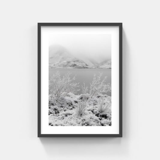 Den frostiga dalen