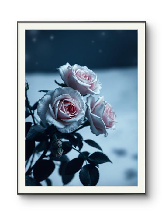 Frostiga rosor
